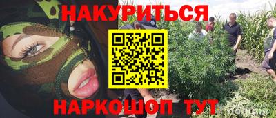 кокс Пугачёв