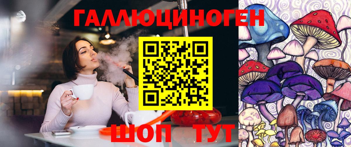 Балашиха  Псилоцибиновые грибы ЛСД  Псилоцибиновые грибы Psilocybine cubensis  Вход с VPN 